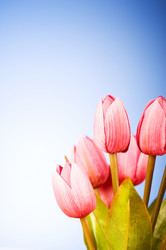 Similar image 293356