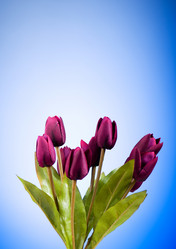 Similar image 293358