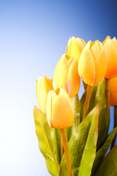 Similar image 293360