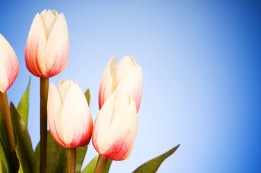 Similar image 293362