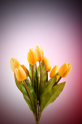 Similar image 293364