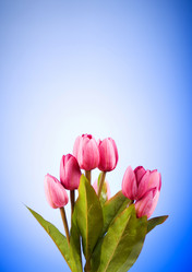 Similar image 293365