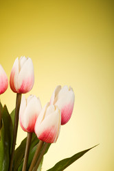 Similar image 293367