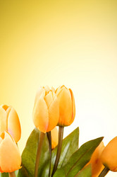 Similar image 293371