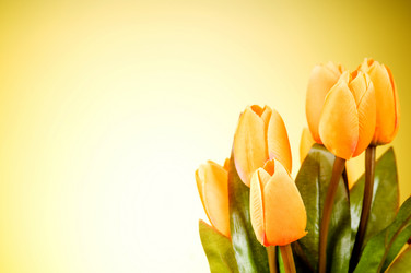 Similar image 293373