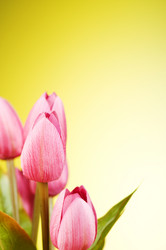 Similar image 293375