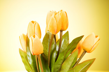 Similar image 293377