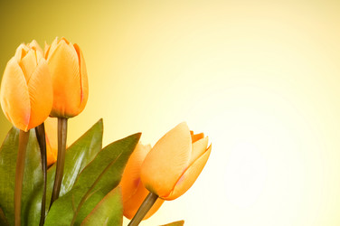 Similar image 293379