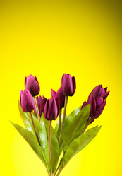 Similar image 293383