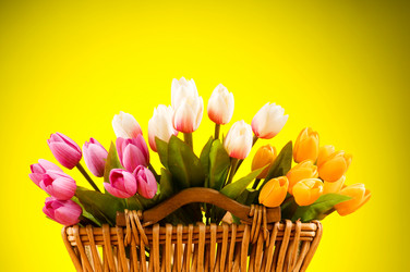 Similar image 293385