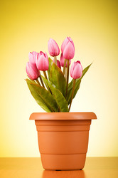 Similar image 293388