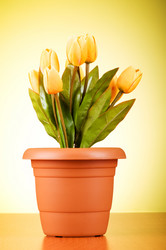 Similar image 293389