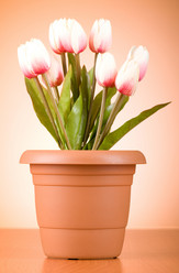 Similar image 293390