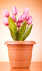 Similar image 293393