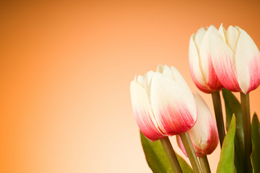 Similar image 293394