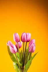 Similar image 293396