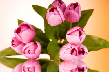 Similar image 293397