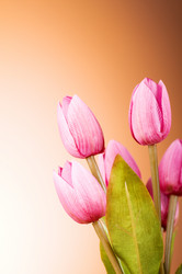 Similar image 293398