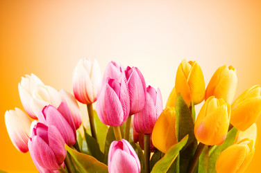 Similar image 293400