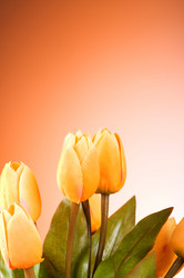 Similar image 293404