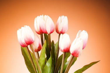 Similar image 293405