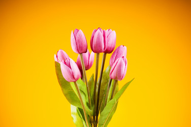 Similar image 293406