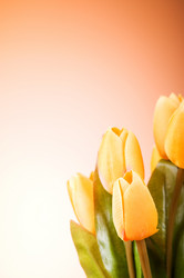 Similar image 293409