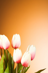 Similar image 293412