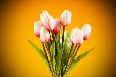 Similar image 293414