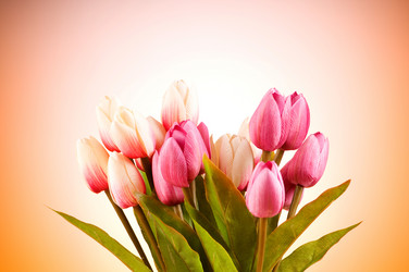 Similar image 293415