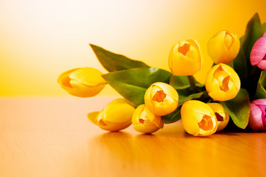 Similar image 293416