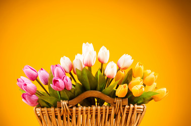 Similar image 293423