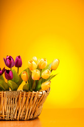 Similar image 293433