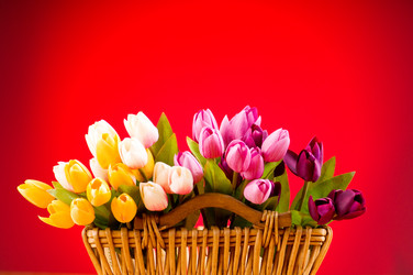 Similar image 293440