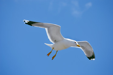 Similar image 293512