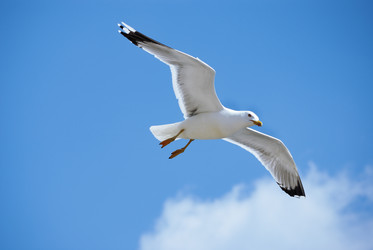 Similar image 293513