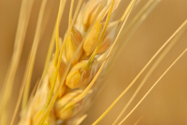 Similar image 293519