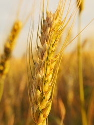 Similar image 293524