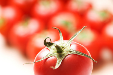 Similar image 293534