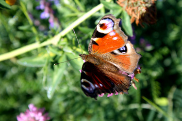 Similar image 293535