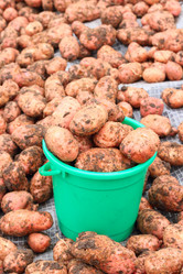 Similar image 293538