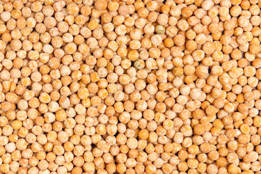 Similar image 293541