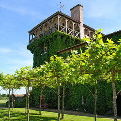 Similar image 293548