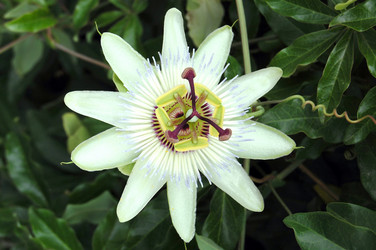 Similar image 293553