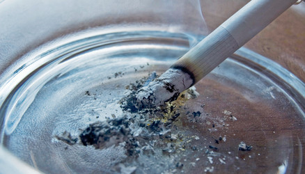 Similar image 293646