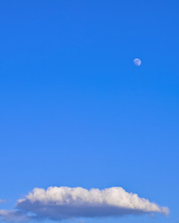 Similar image 293707