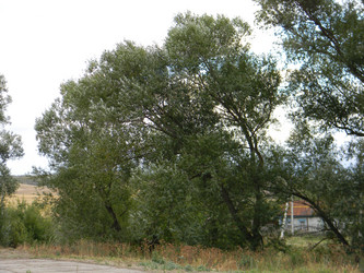 Similar image 293798