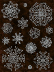 Similar image 293811