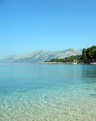 Similar image 293846