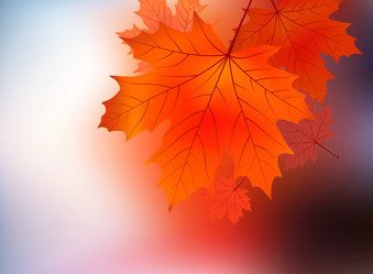 Similar image 293872